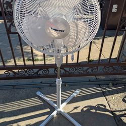 Fan