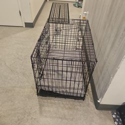 Dog Kennel 