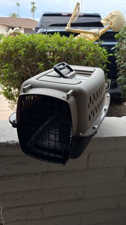 19 inch pet carrier