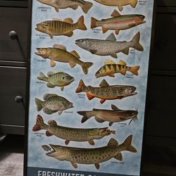 Fish Frame 