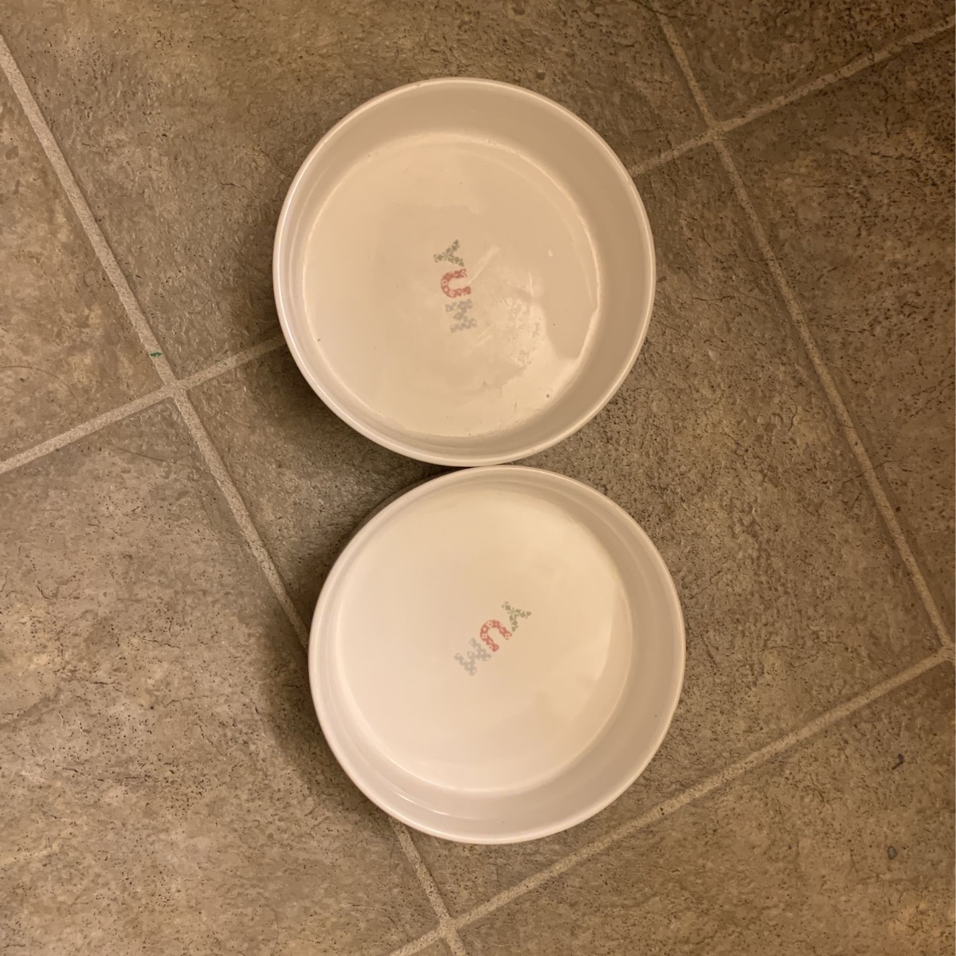 Dog Bowl