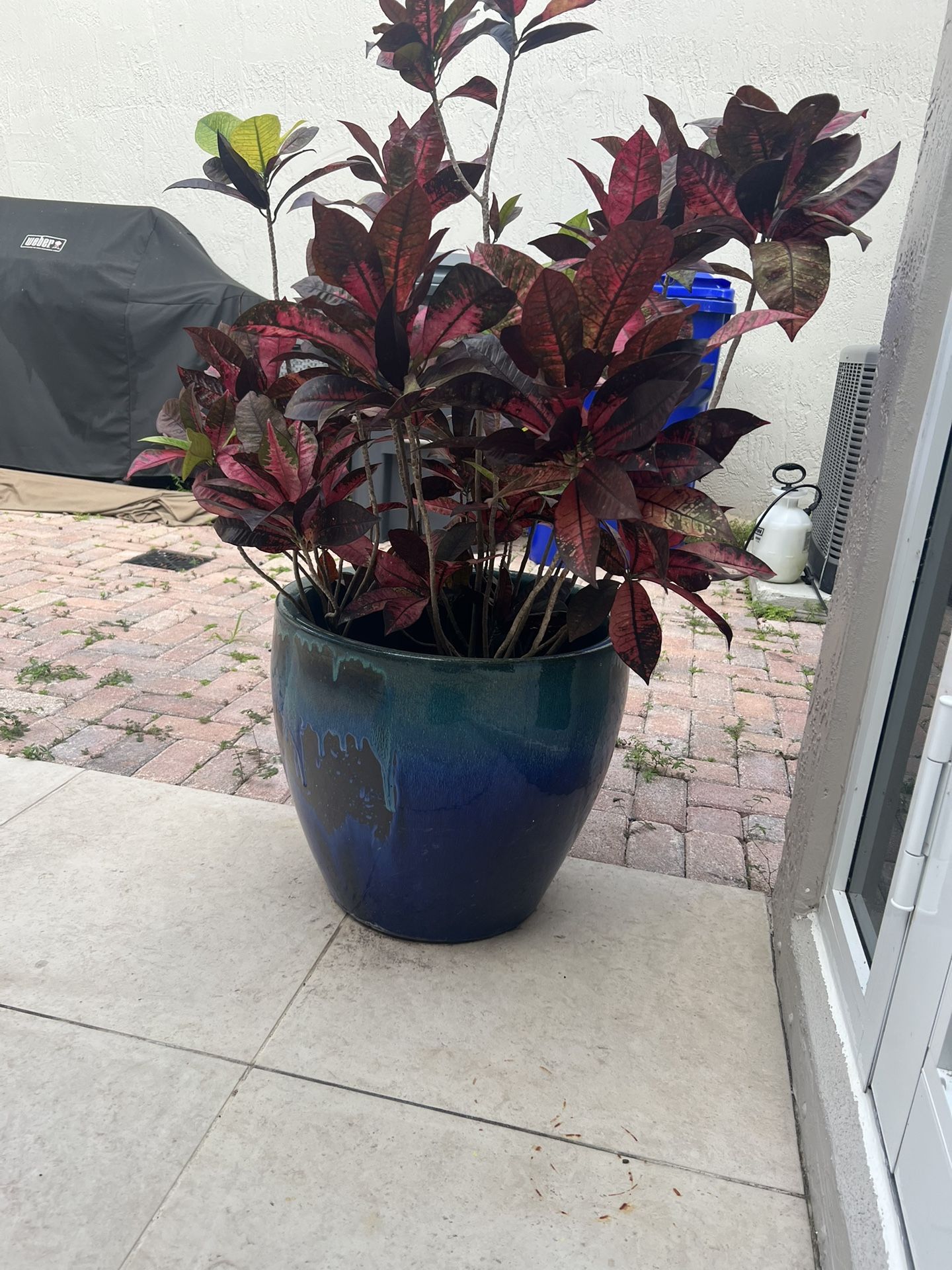 Ceramic Planter Available I Have 3 Units