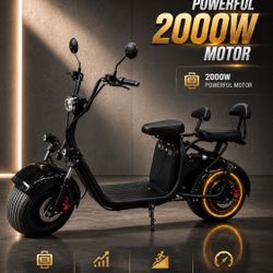 Brand New Electric 2-seater 