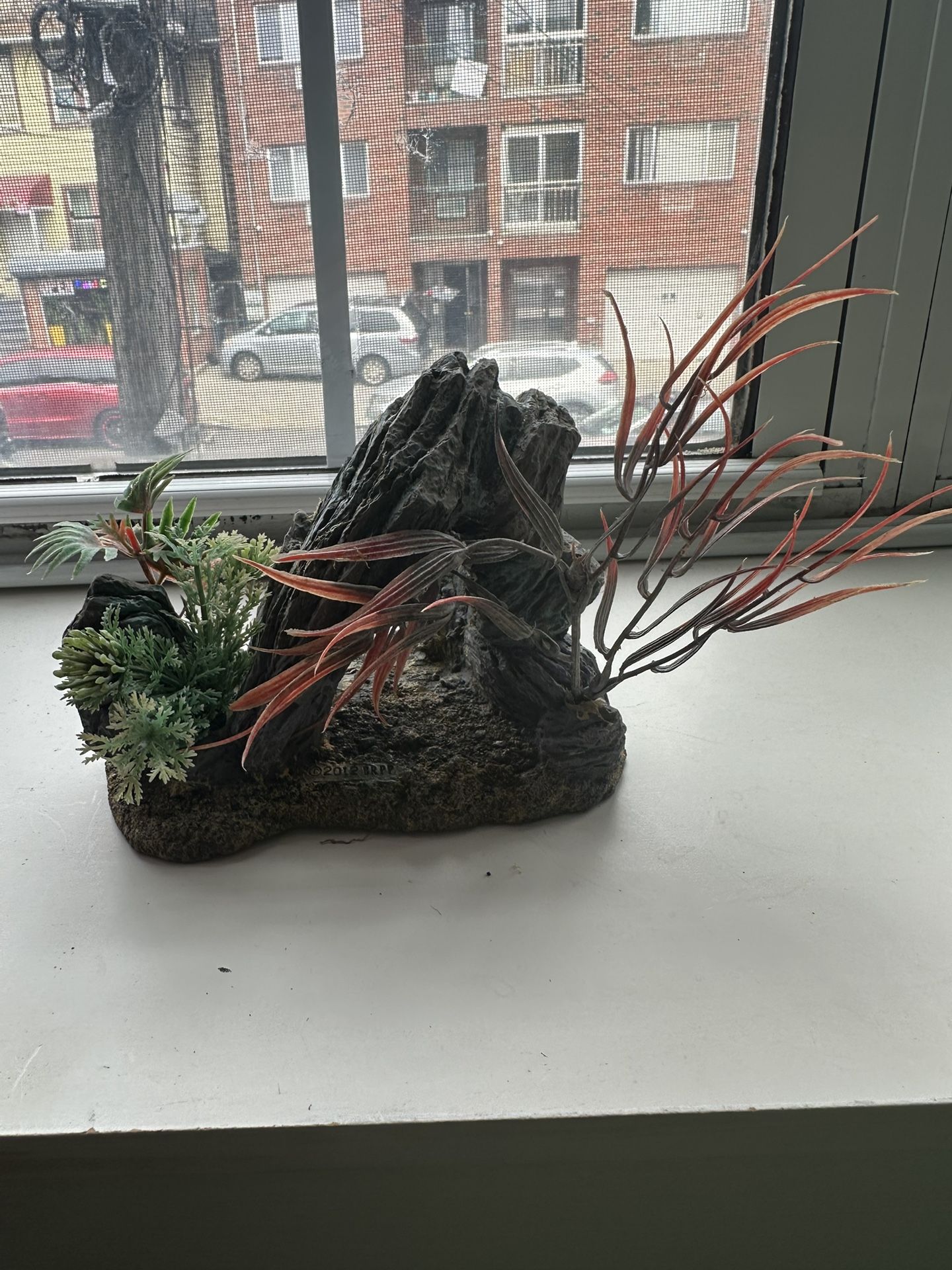 Fish Tank/ Aquarium 