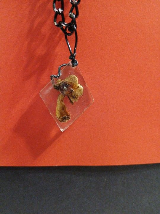 Magic Mushroom On Long Black Chain