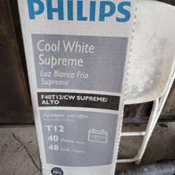 Fluorescent Light Bulb 