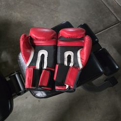 14oz Boxing Gloves
