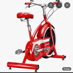 Swing Stationary Bike 