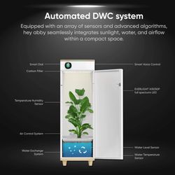 HeyAbby Grow Box