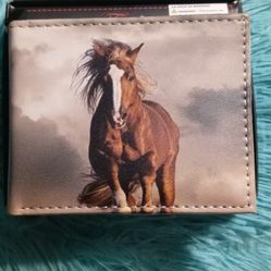 Wallet horse Design in a box