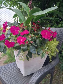 Large potted garden