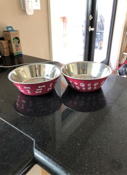 2 dog dishes