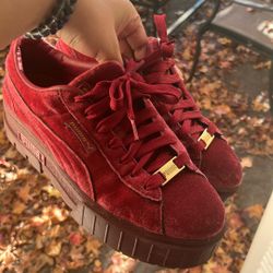Velvet Pumas 