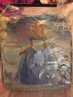 Princess Cinderella costume