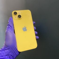 iPhone 14