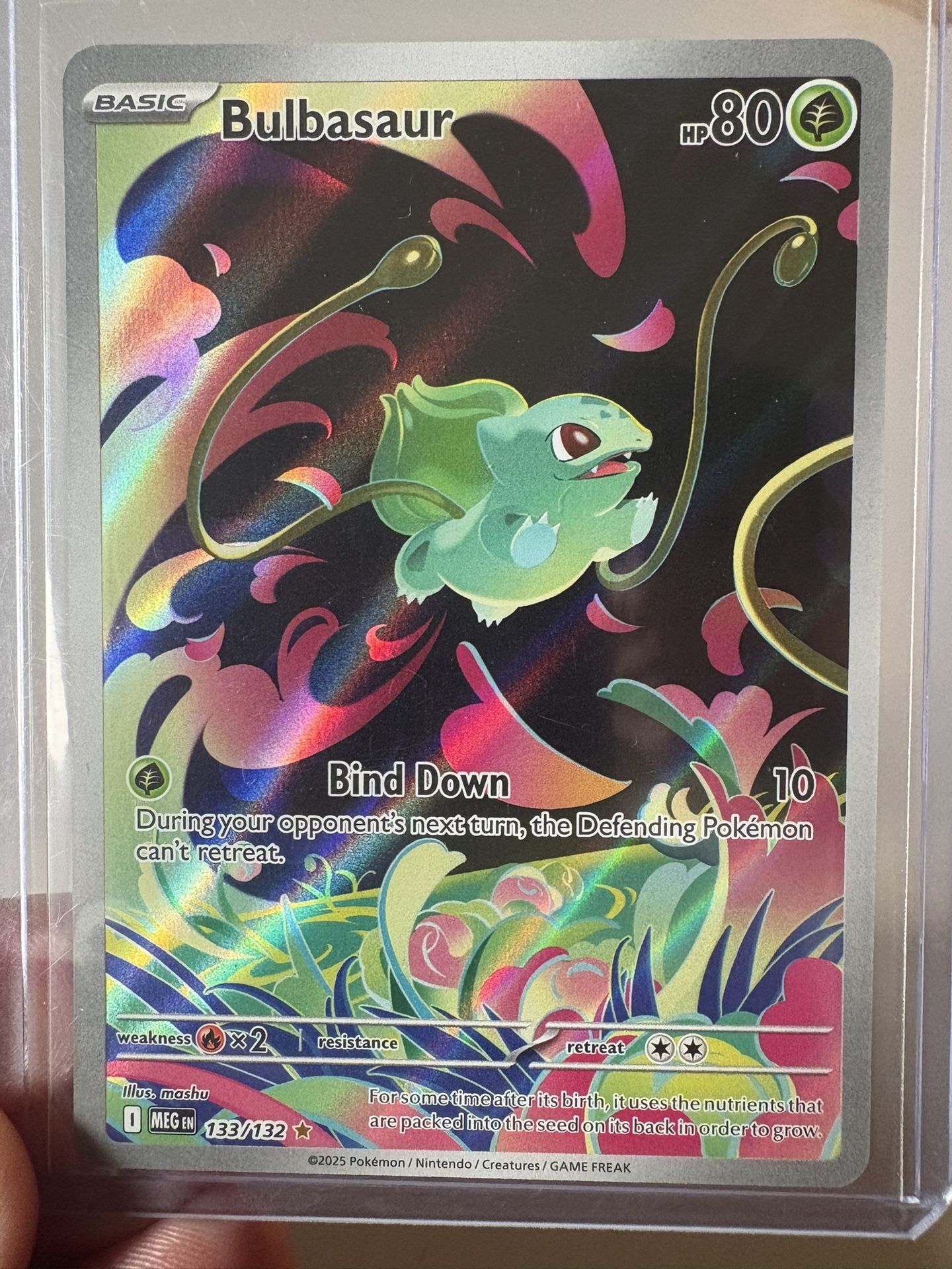 New Bulbasaur holo