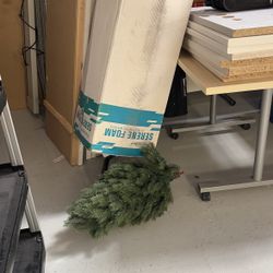 Christmas Tree With Lights8 + Ft