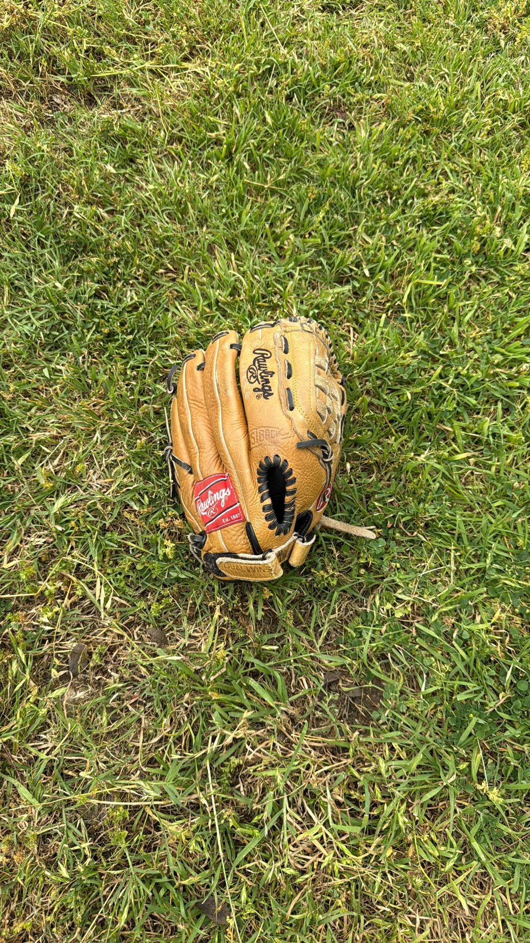 Rawlings Youth Baseball Glove