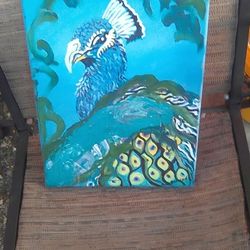 Peacock Painting Artist Sue Verhaag 