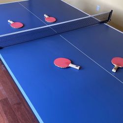 Ping Pong Table (Stiga Advantage)