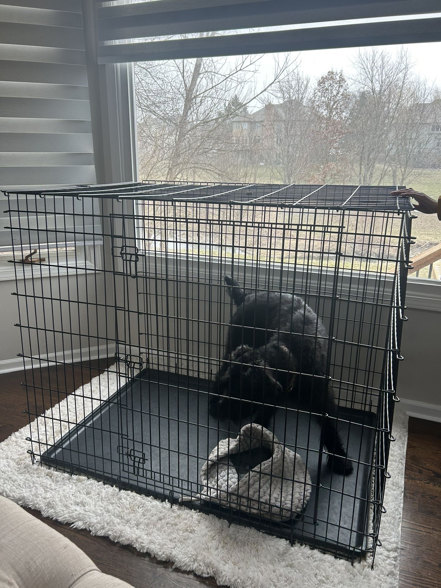 XL Midwest Metal Dog Crate