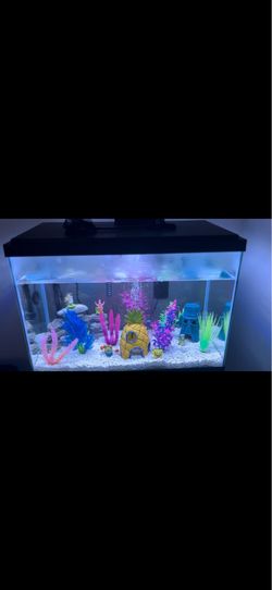 Fish tank