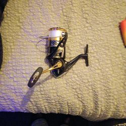 Shimano Fishing Reel 