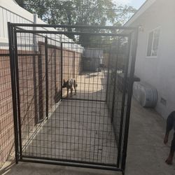 Dog Kennel