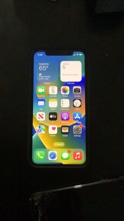 iPhone X