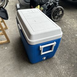 Free Coleman PolyLite54 Cooler