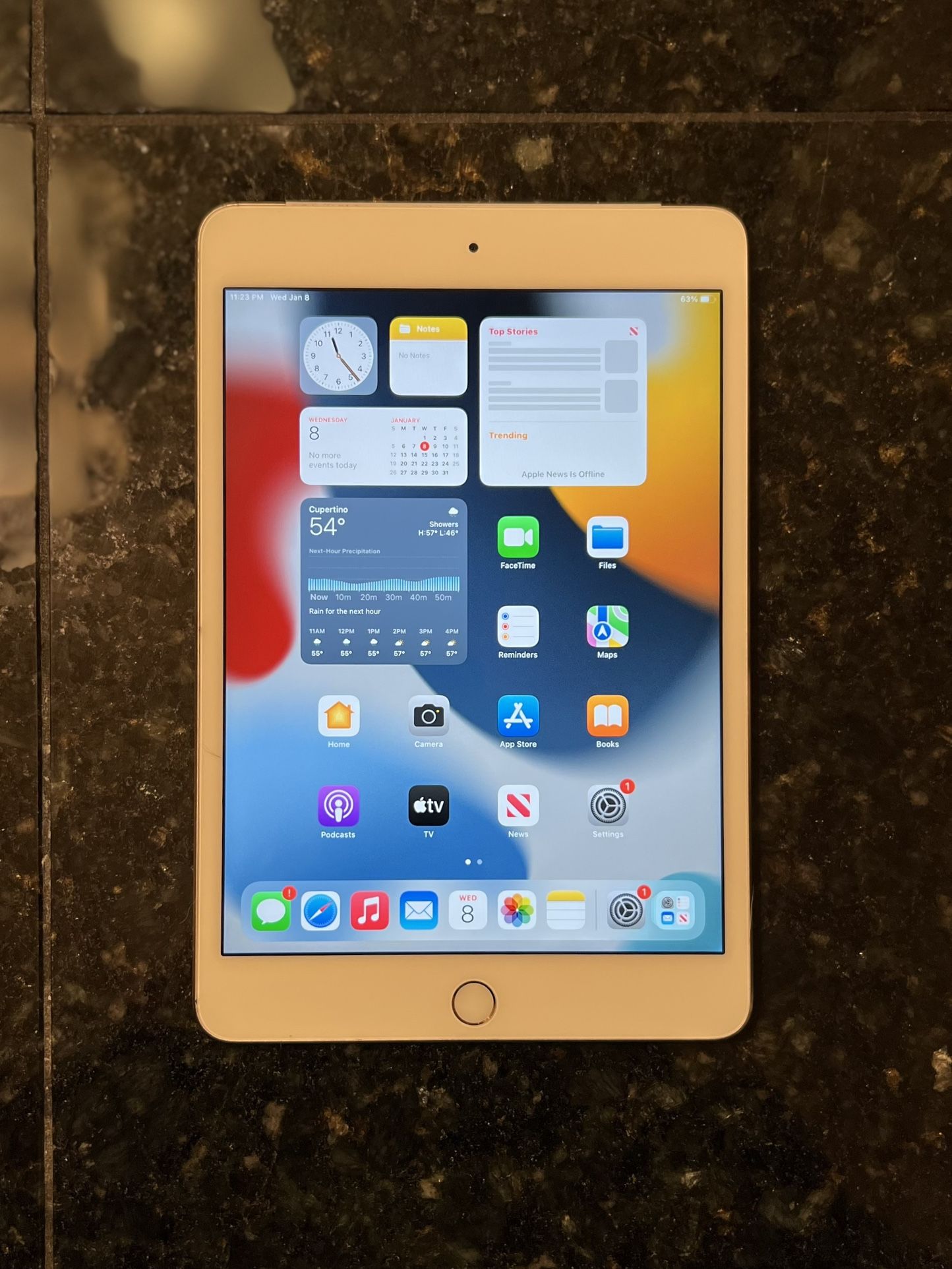 iPad Mini 4th Gen. Wi-Fi & Cellular