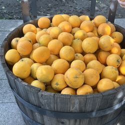JUICY HOME GROWN ORANGES