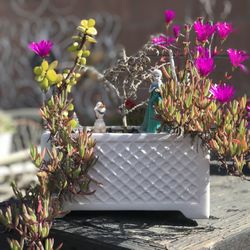 $12 Queen Elsa Frozen inspired berry garden