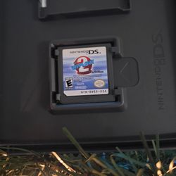 NINTENDO DS GAME 
