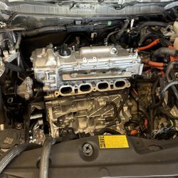 2009 Toyota Prius Hybrid