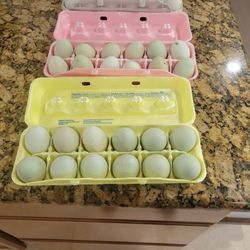 Fresh Easter Eggs 