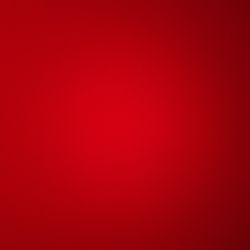 22-in Rims w/ Lowpro Tires