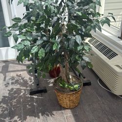 Fake Plant 