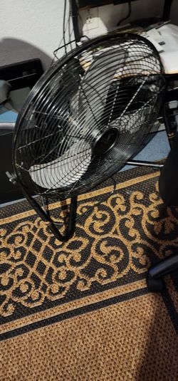 Fan