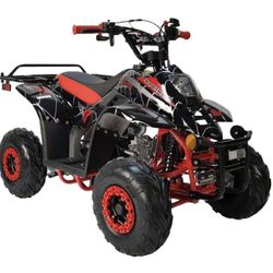 110cc Kids ATV With Reverse 13 Colors In Stock 