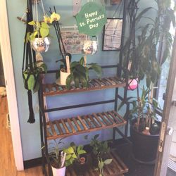 Hanging Plant Stand 3 Tier Ladder Shelf with Hanging Rod Height Adjustable Flower Pot Display Organizer for Balcony Porch Living Room