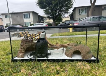 Reptile Terrarium