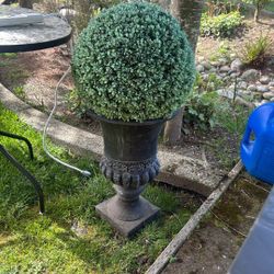 Faux Boxwood Topiary