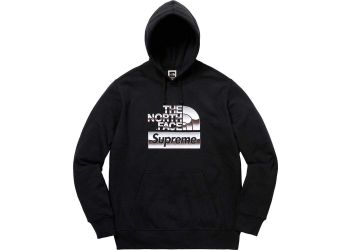 Supreme north face metallic hoodie