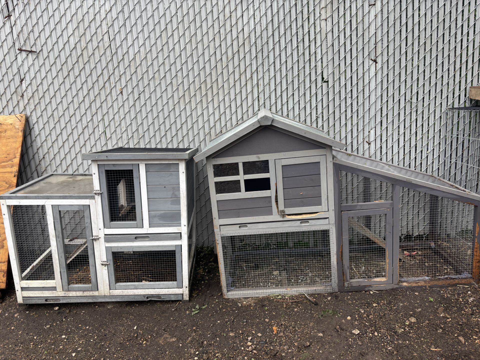 Chicken Coop’s