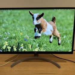 LG 27” 4K UHD Computer Monitor