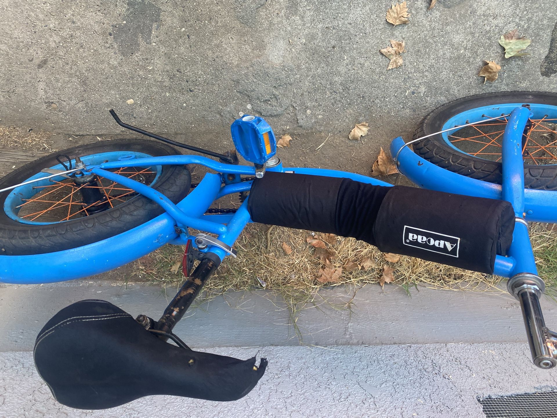 Blue Children’s Beech Bike/ Restored