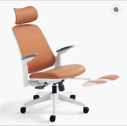 Office Chair with Footrest and Headrest