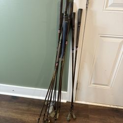 Lady Rampant Slotline Brillium Golf Clubs Set Rare