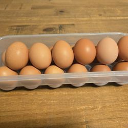 Fresh Eggs